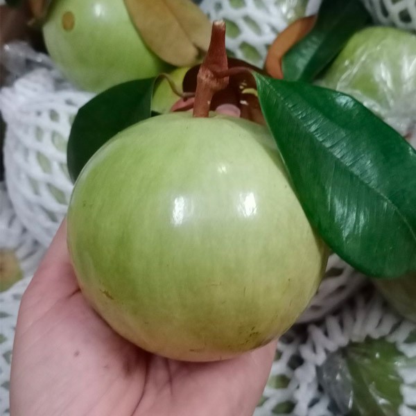 (HỘ KINH DOANH) TẠP HÓA THẢO NGUYÊN