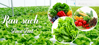 (HỘ KINH DOANH) TẠP HÓA THẢO NGUYÊN